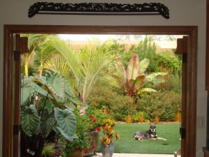 Indoor outdoor beauty