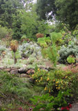 Public Gardens - Channel Islands Collection