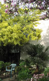 El Cerriton Garden - Back After