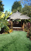Cardiff Garden - After 1