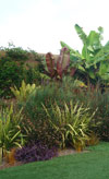 Cardiff Garden - After 2