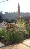 Carlsbad - Outdoor Living Room - After 2