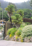 Public Gardens - Entry