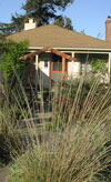 El Cerriton Garden - Front After