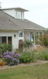 Sausalito Garden - Before