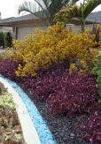 La Jolla Modern Garden - After 2