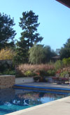 Poway Pool / Garden
