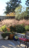 Poway Pool / Garden